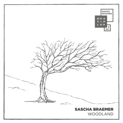 SaschaBraemer